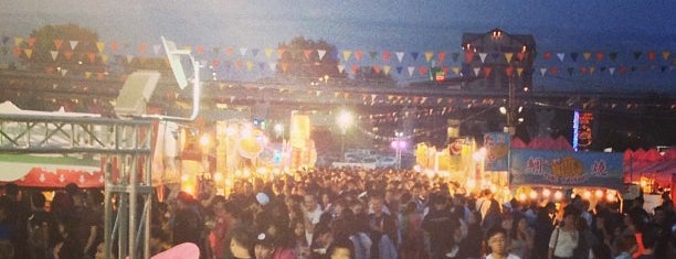 Richmond Night Market is one of Vancouver, lest I forget.