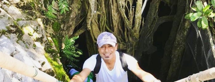 El Cenote Homun is one of Javier'in Beğendiği Mekanlar.