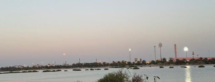 Muharaq City is one of Bahrain - The Pearl Of The Gulf.