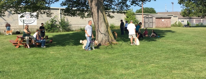 Milwaukee dog training club outdoor is one of Places I've Mayored.
