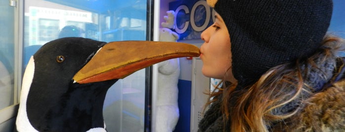 XtraCold Icebar Amsterdam is one of As Aventuras de RF. =).