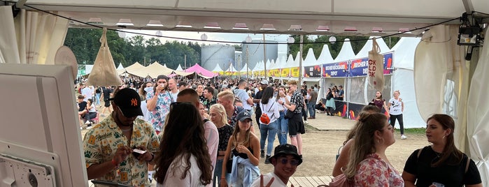 Zürich Openair is one of TinyEvents.