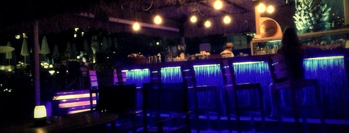 Blue Bar is one of Locais curtidos por petek.