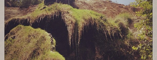 Escondido Falls is one of excur.