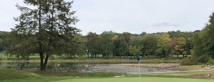 Richter Park Golf Course is one of Birdie Badge -- New York.