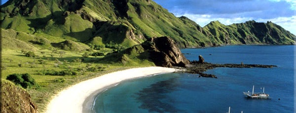 Pulau Komodo (Komodo Island) is one of Heritage site.