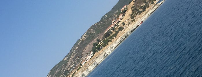 Kestane Adası is one of Murat Engin'in Beğendiği Mekanlar.