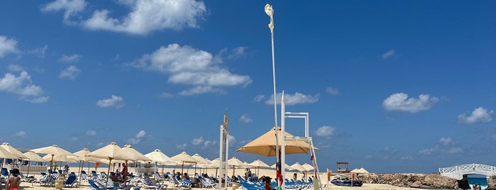 Beach at Rixos Alamein is one of Entertainment.