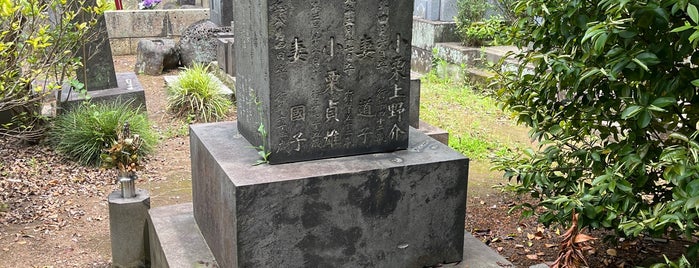 小栗上野介忠順 墓所 is one of 行きたい.