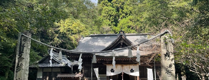 秦神社 is one of 高知市の史跡.