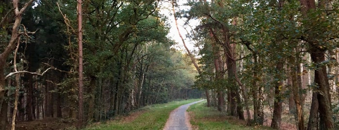 Natuurgebied Biltse Duinen is one of Favorite Great Outdoors.