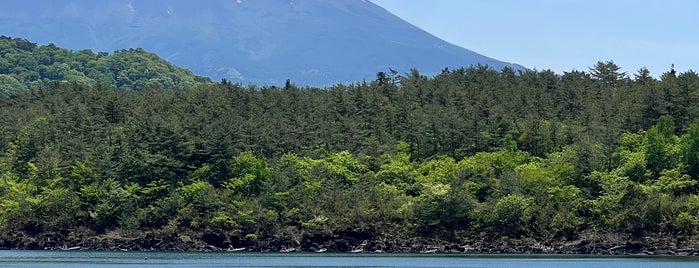 Lake Saiko is one of Fujisan Travel.