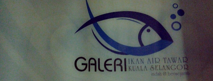 Galeri ikan air Tawar Kuala Selangor is one of Best places in Kuala Selangor, Malaysia.