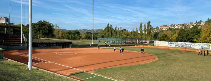 Eagles Park is one of Softball fields.