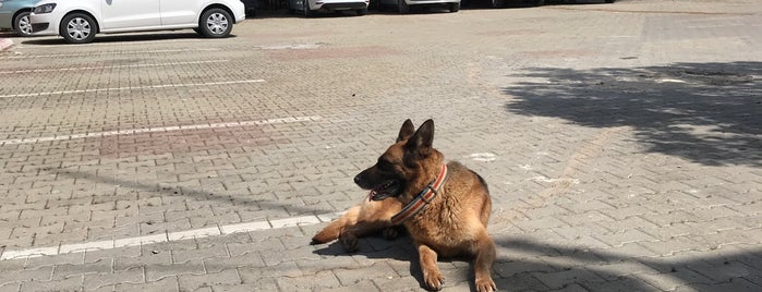 Tece Polis Merkez Amirliği is one of Lieux qui ont plu à Dr.Gökhan.