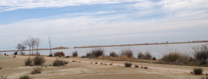 Delta del Ebro is one of Locais curtidos por Elizaveta.