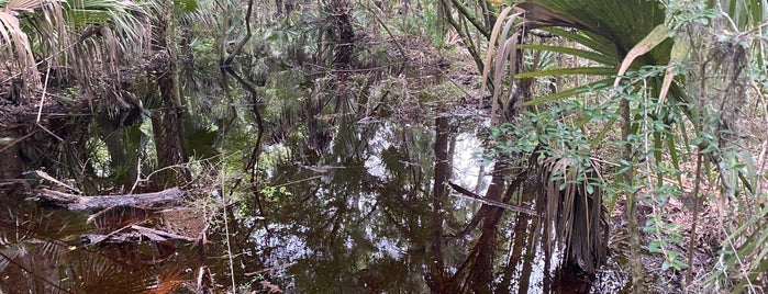 Baynard Trail, Hillsborough River State Park is one of Top 10 places to try this season.