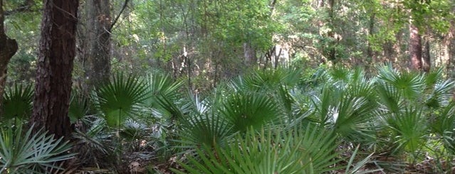 Gator Creek Reserve is one of Lugares guardados de Kimmie.