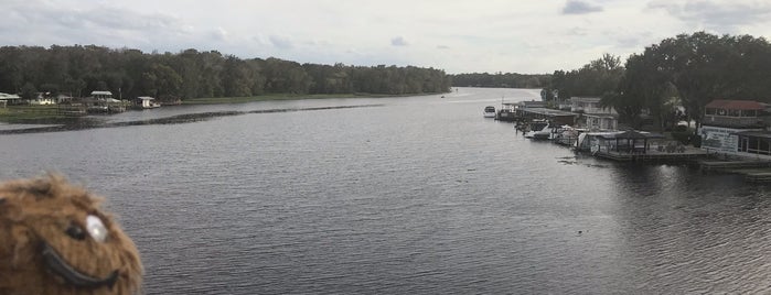 St. Johns River is one of Tempat yang Disukai Lizzie.