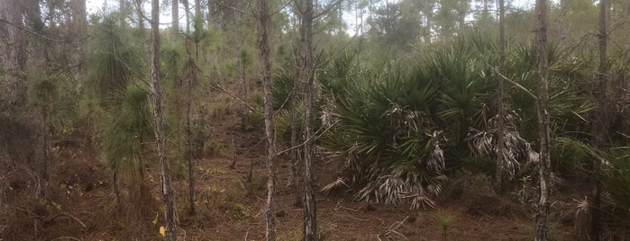 Myakka State Forest is one of Englewood.
