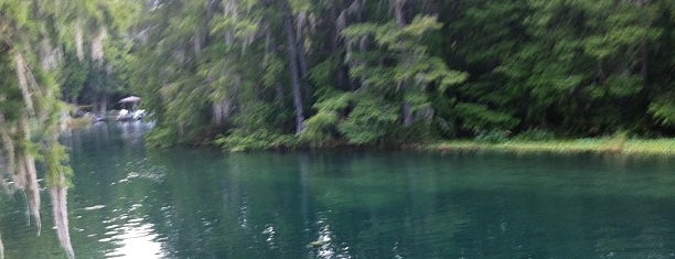 The Rainbow River is one of Tempat yang Disukai Wendy.