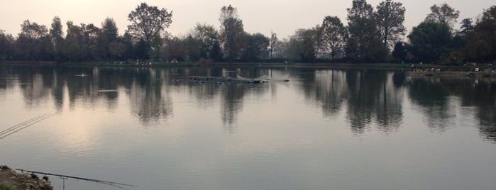 Lago Gioia is one of Mauro : понравившиеся места.