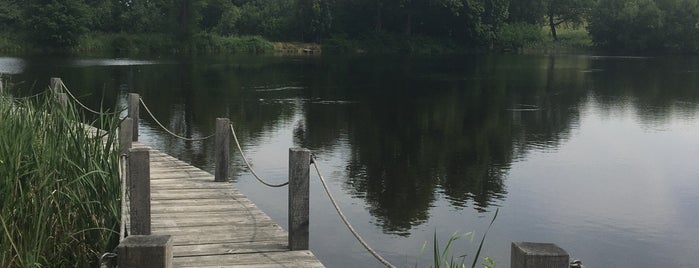 Pilský rybník is one of Swimming.