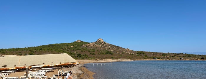 Çataltepe is one of Beach&haven.