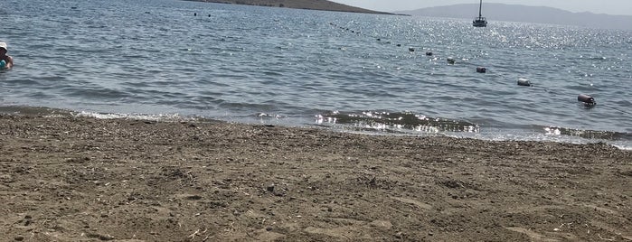 MİTO BEACH is one of Bodrum.