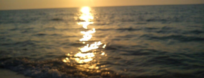 Playa de Celestún is one of Tempat yang Disukai Jesús.