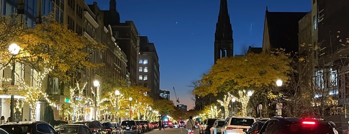 The Newbury Boston is one of Lugares favoritos de MI.