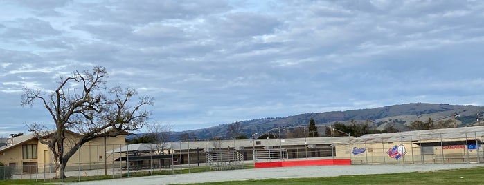 Spirit Softball at San Martin Gwynn School is one of Home.