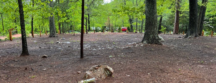 African-American Graveyard at Monticello is one of Virginia - Spring 2014.