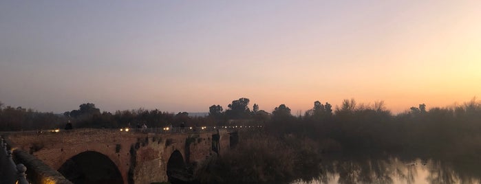 Puente Romano is one of สถานที่ที่ Kiberly ถูกใจ.