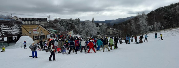 菅平高原スキー場 is one of 長野県内のスキー場.