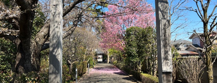 慈雲山曼荼羅寺 観蔵院 is one of deep tokyo.
