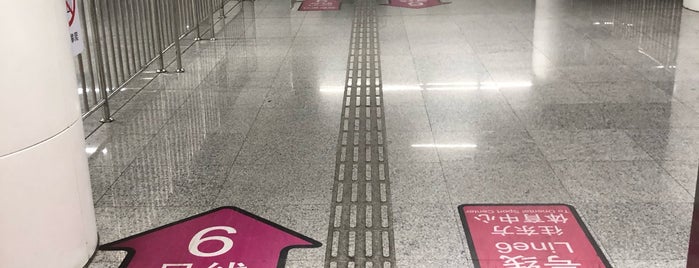 Shangnan Road Metro Station is one of 上海轨道交通6号线 | Shanghai Metro Line 6.