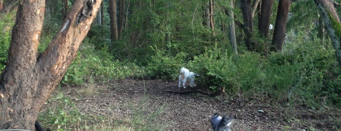 Point Defiance Off-leash Area is one of Running.