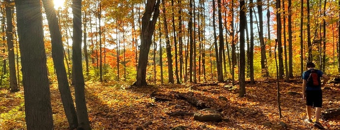 South March Highlands Conservation Forest is one of Summer 2015.