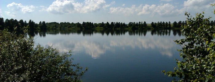 Шинкарский пруд is one of Tempat yang Disukai Sasha.