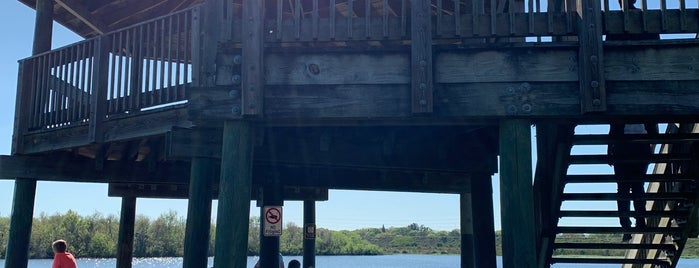 Sawgrass Lake Park Observation Tower is one of Kimmie's Saved Places.
