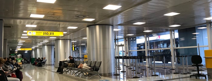 Международный аэропорт Гуарульюс/Сан-Паулу (GRU) is one of Fernando : понравившиеся места.