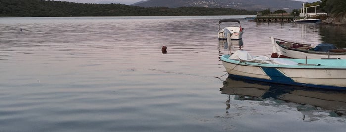 Bargilya Balık Restaurant is one of eating.