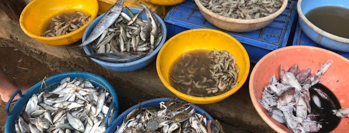 Fish Market Chapora is one of Goa.