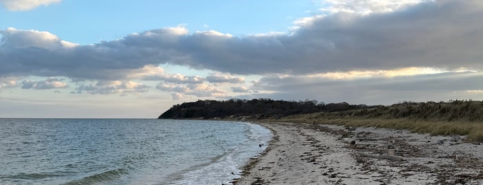 Bailie Beach is one of Northfork 2017.