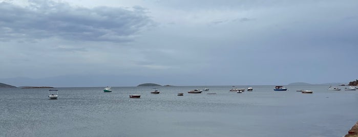 İğdeli Plajı is one of Ayvalık-Burhaniye-Gömeç-Sarımsaklı.