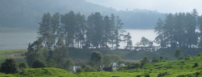 Situ Patengan (Patenggang) is one of Lieux qui ont plu à Darsehsri.