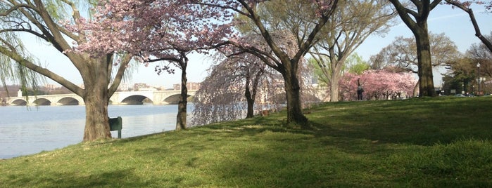 West Potomac Park is one of Washington.