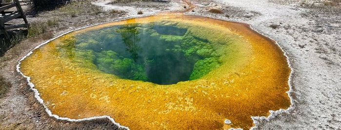 Morning Glory Pool is one of Yellowstone.