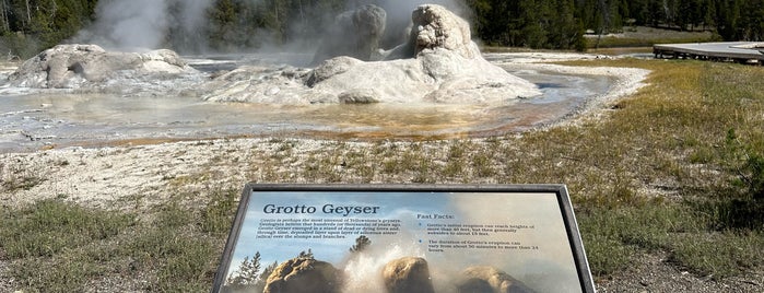 Grotto Geyser is one of WY, USA.